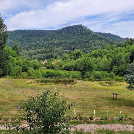 Gite Forestier Du Moulin Raon-sur-Plaine Экстерьер фото