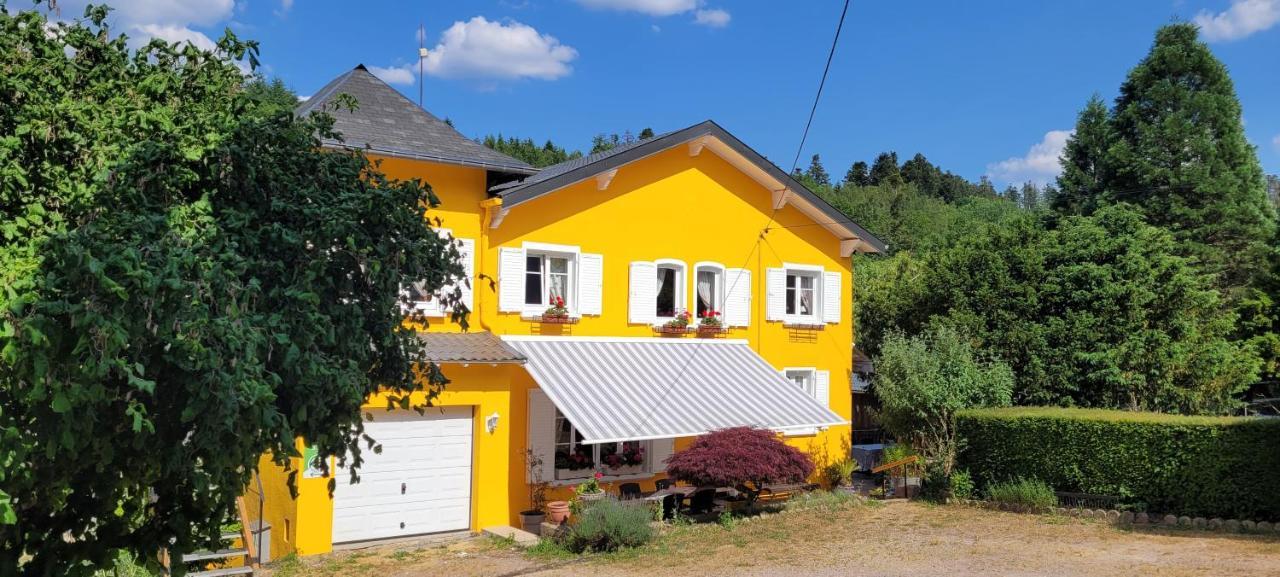 Gite Forestier Du Moulin Raon-sur-Plaine Экстерьер фото
