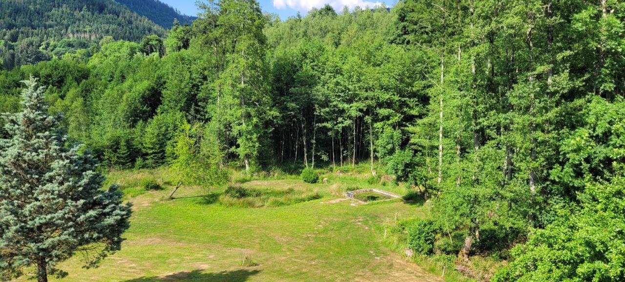 Gite Forestier Du Moulin Raon-sur-Plaine Экстерьер фото