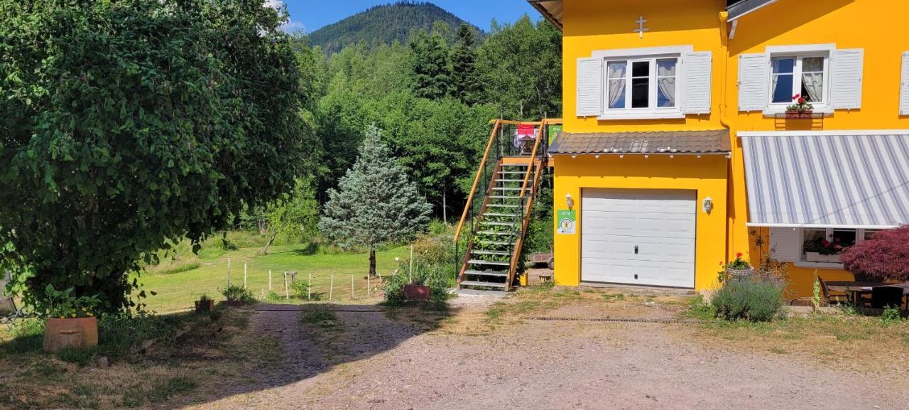 Gite Forestier Du Moulin Raon-sur-Plaine Экстерьер фото