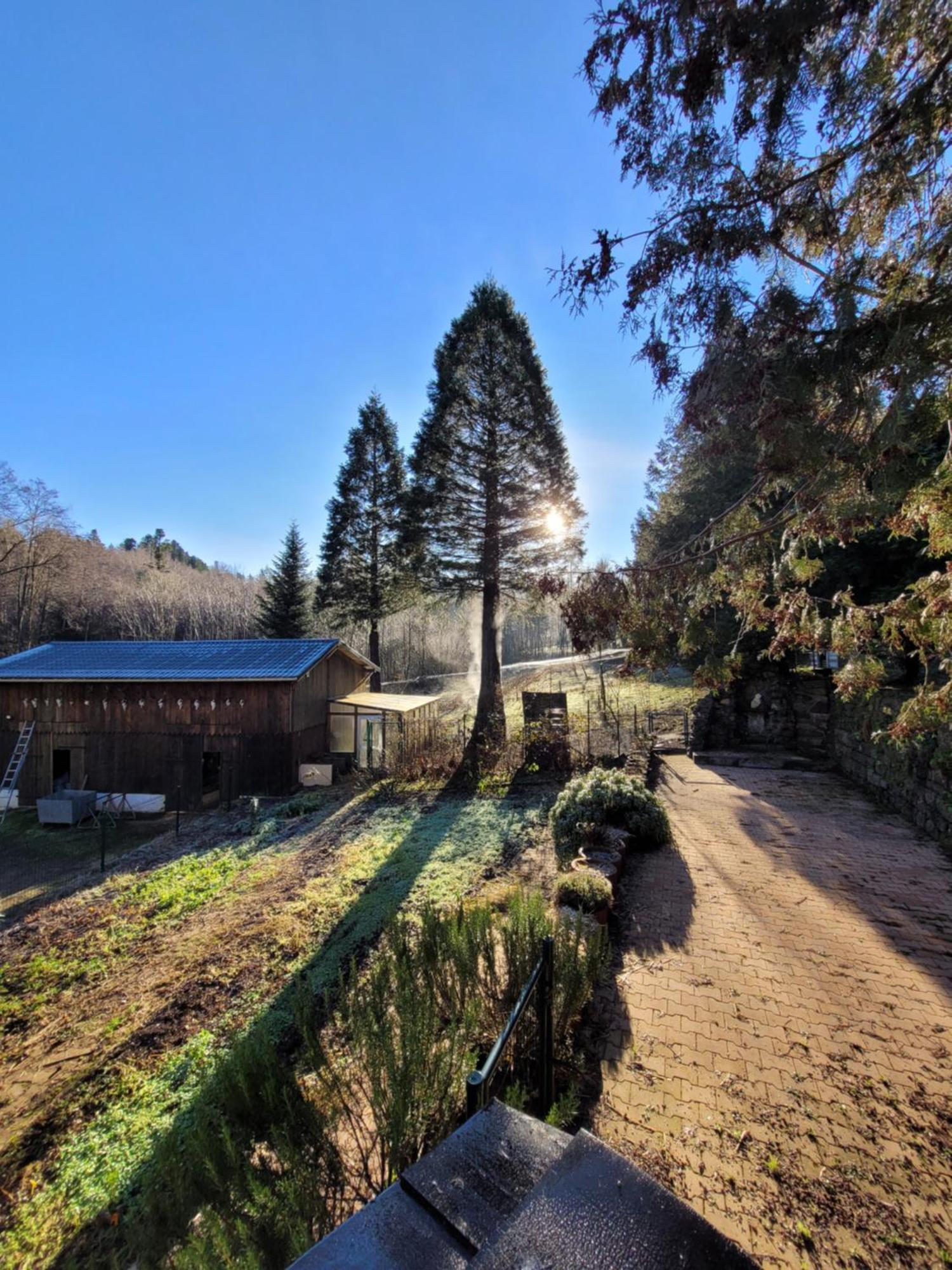 Gite Forestier Du Moulin Raon-sur-Plaine Экстерьер фото