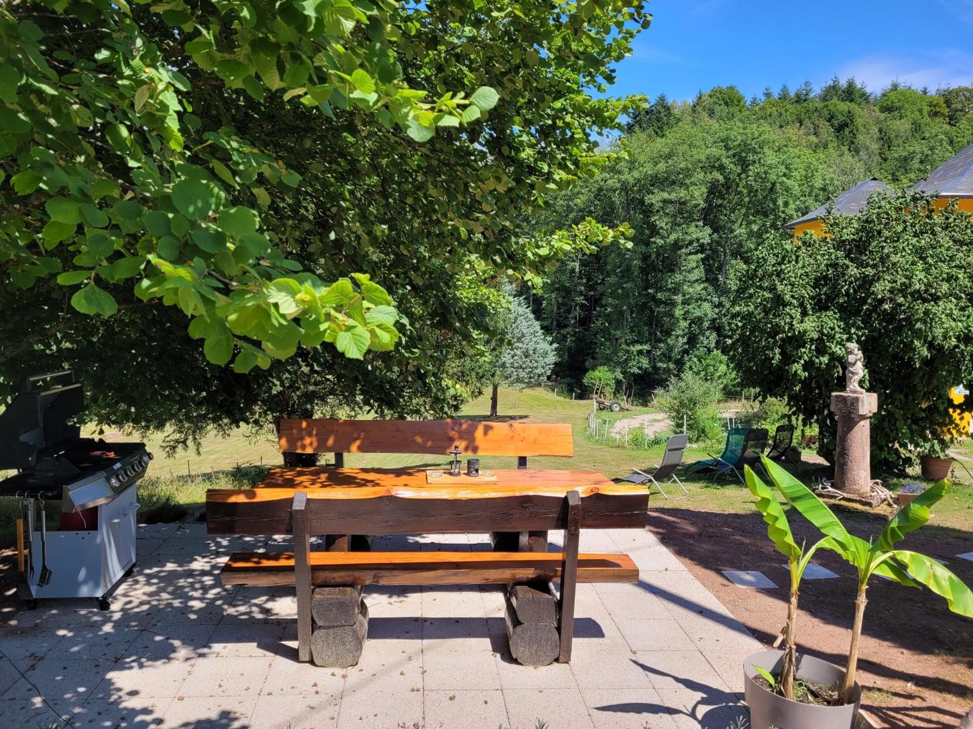 Gite Forestier Du Moulin Raon-sur-Plaine Экстерьер фото