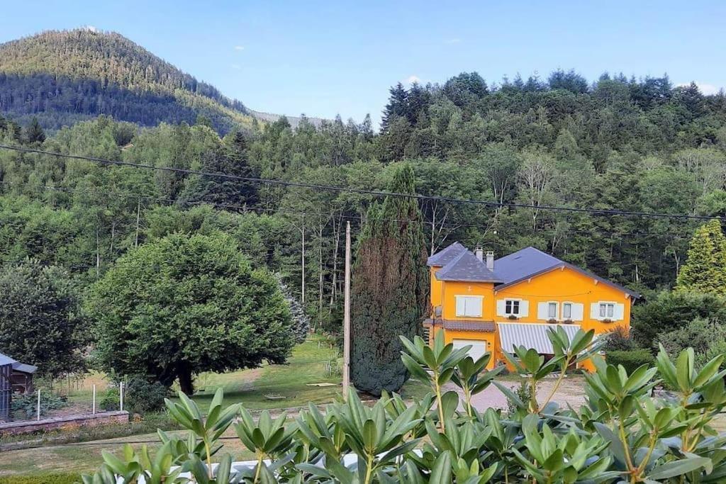 Gite Forestier Du Moulin Raon-sur-Plaine Экстерьер фото