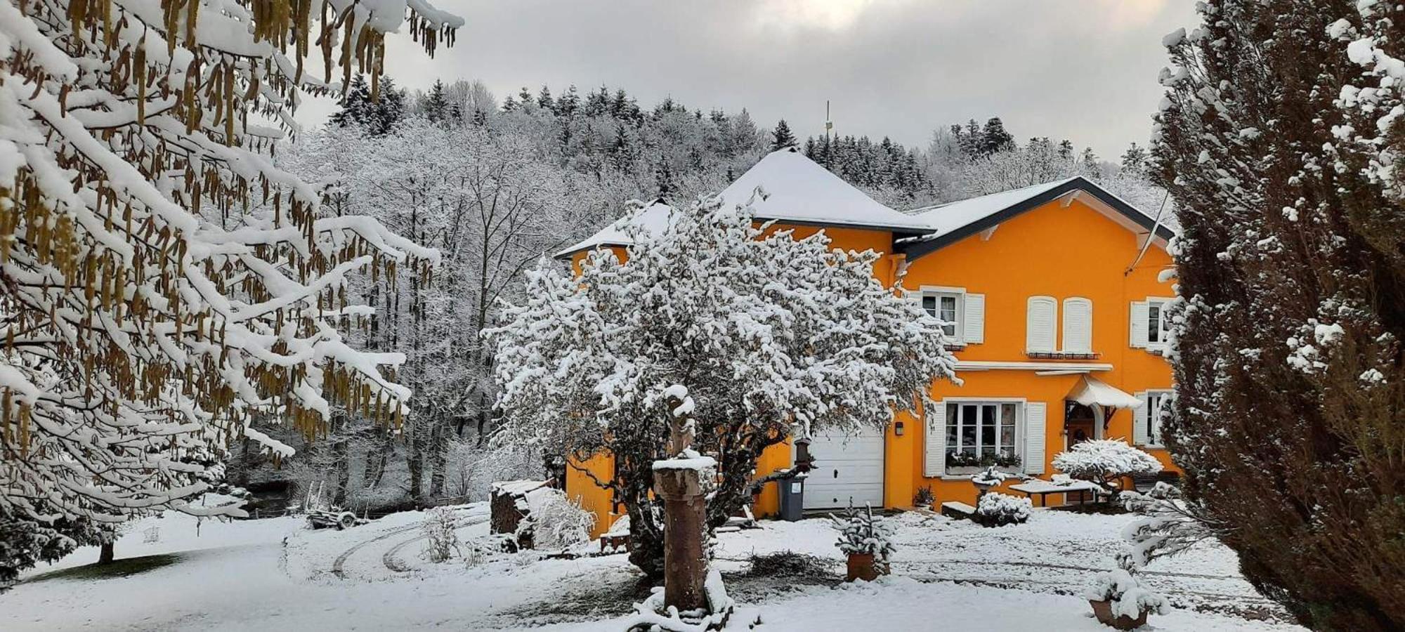 Gite Forestier Du Moulin Raon-sur-Plaine Экстерьер фото